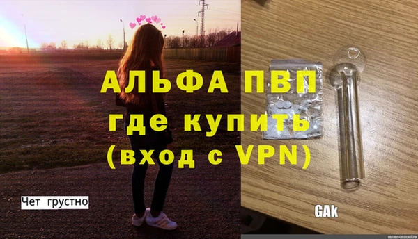 стаф Осташков
