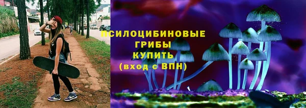 стаф Осташков