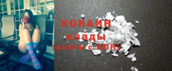 шишки Горнозаводск
