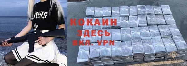 ешки Дмитриев