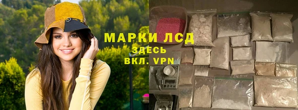 стаф Осташков