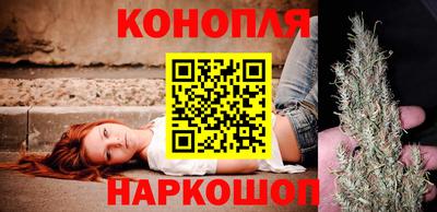 шишки Бийск