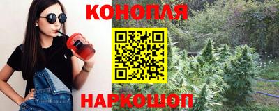 шишки Абакан