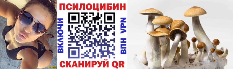 купить наркотики сайты Краснотурьинск Галлюциногенные грибы MAGIC MUSHROOMS