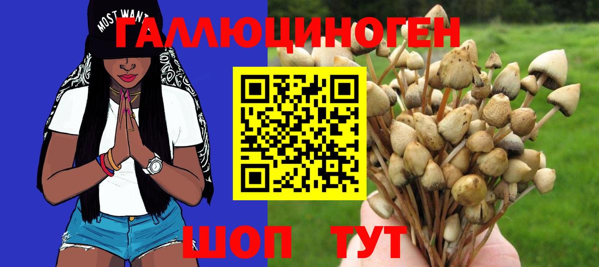 Псилоцибиновые грибы GOLDEN TEACHER Краснотурьинск