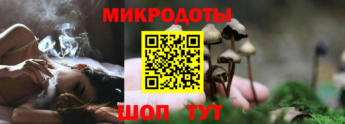 Галлюциногенные грибы Psilocybine cubensis  где найти   Краснотурьинск 